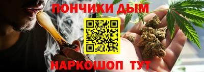 ешки Боровичи