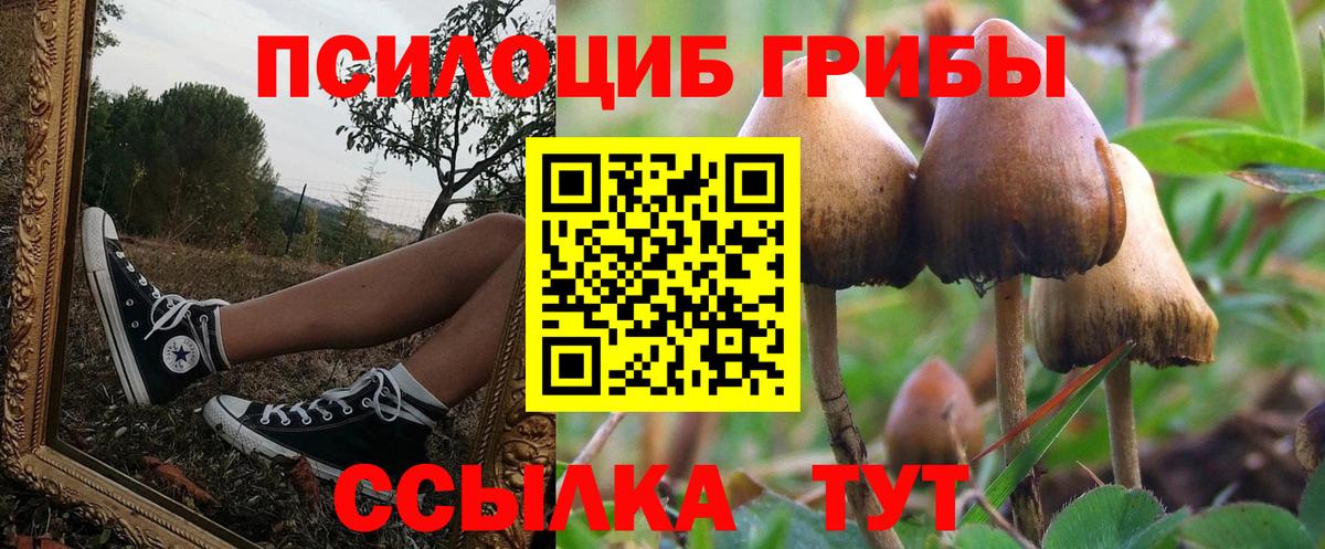 Белореченск  Псилоцибиновые грибы ЛСД  Галлюциногенные грибы Magic Shrooms  Вход с VPN 