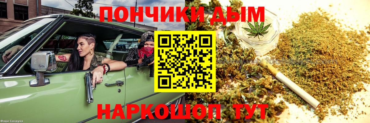 Бошки марихуана семена Белореченск